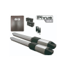 Kit De Pistones Seg Pivus Doble 300 24v + Baterías Respaldo